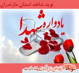 بيست و دومين يادواره 148 شهيد منطقه دودانگه بيست و دومين يادواره 148 شهيد منطقه دودانگه