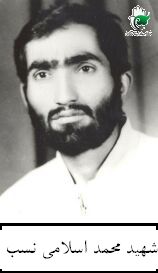آژیر سکوت