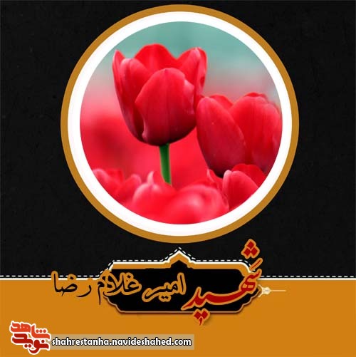 مادرم؛ از شما می خواهم همچو سرورم در شهادتم خوشحال تر باشید مادرم؛ از شما می خواهم همچو سرورم در شهادتم خوشحال تر باشید