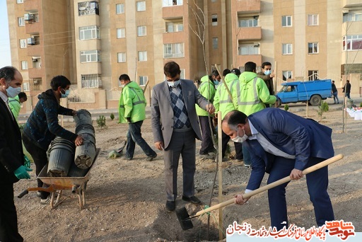 فیلم/ گلباران مزار شهدا و درخت کاری به یاد شهدای زنجان