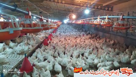 گفتگو با ایثارگر سنگرهای جهاد دیروز و خیر سلامت امروز گفتگو با ایثارگر سنگرهای جهاد دیروز و خیر سلامت امروز