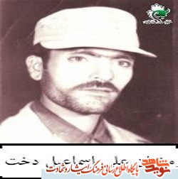 به یاری مستضعفین بشتابید