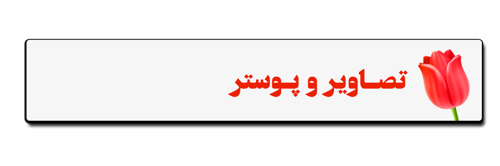 پیش نویس /// سیره صیاد دلها