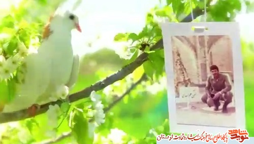 فوتوکلیپ/ وصیتنامه شهید سرگرد «مصطفی پژوهنده»