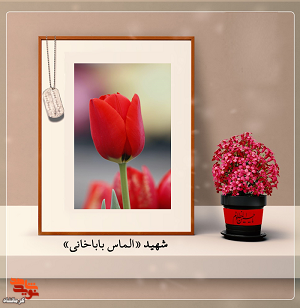 کمک به همنوعان را پیشه راه خود کرده بود
