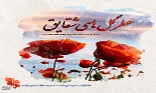 «عطر گل‌های شقایق»